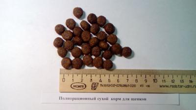 Ветеринарные услуги  - Россия, Белгород. Цена 60 рублей