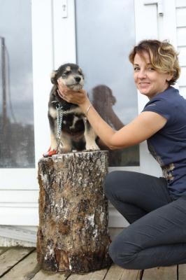 Отдам щенка в добрые руки Метис - Россия, Москва